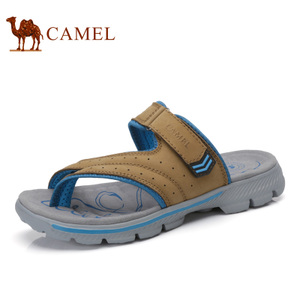 Camel/骆驼 A722396237