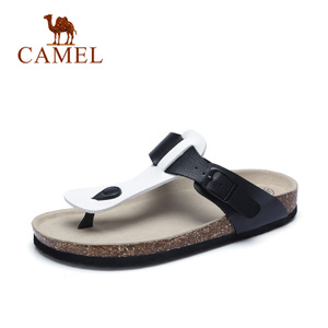 Camel/骆驼 A72289608