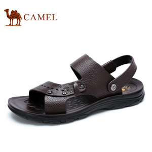 Camel/骆驼 A622263102