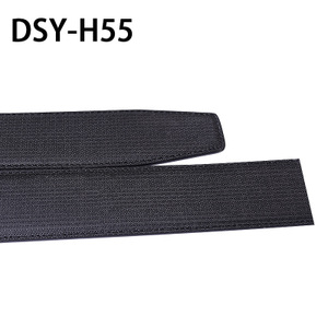 迪尔施丹 DSY-H55