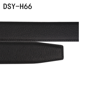 DSY-H66