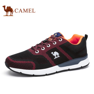 Camel/骆驼 632336170