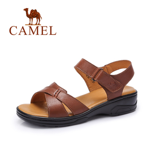 Camel/骆驼 A72326616