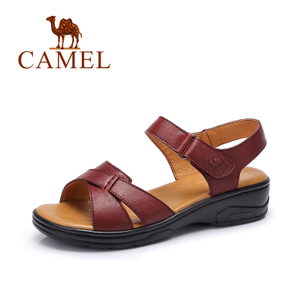 Camel/骆驼 A72326616