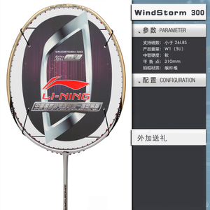 WINDSTROM300