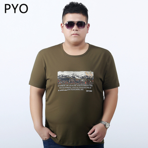 PYO PYO026Z