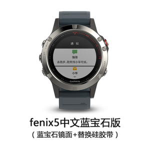 Garmin/佳明 fenix5