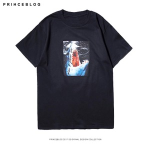 PrinceBlog IF0220S17