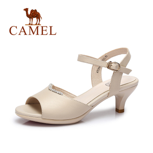 Camel/骆驼 A72288600