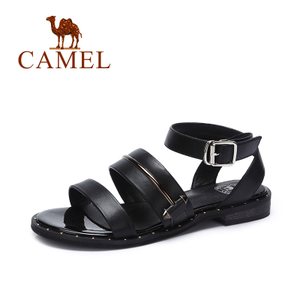 Camel/骆驼 A72296602