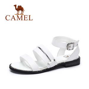Camel/骆驼 A72296602