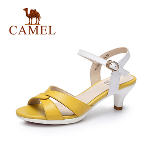 Camel/骆驼 A72288602