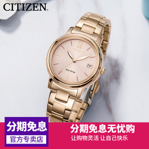 Citizen/西铁城 FE6093-87X