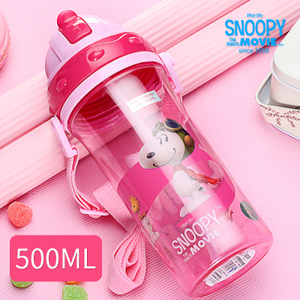 ML500ML