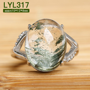 LYL31753