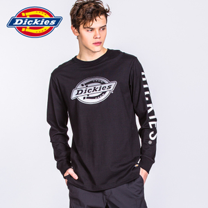 Dickies 171M30WD31