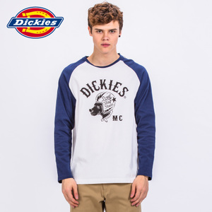 Dickies 171M30WD09