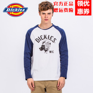 Dickies 171M30WD09