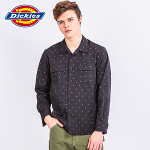 Dickies 171M20WD10