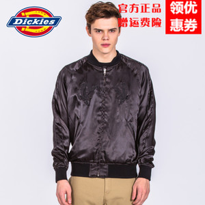 Dickies 171M10WD11