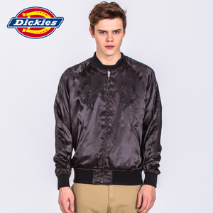 Dickies 171M10WD11