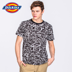 Dickies 171M30WD33