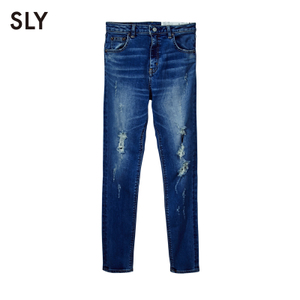 sly 0389SD12-1160