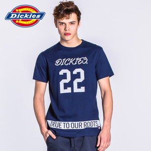 Dickies 171M30WD29