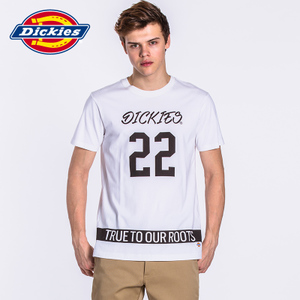 Dickies 171M30WD29