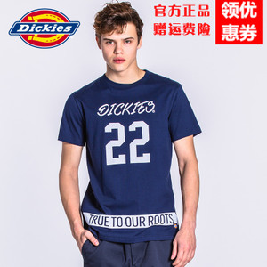 Dickies 171M30WD29