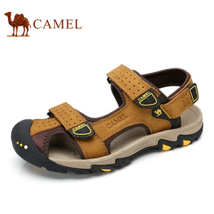 Camel/骆驼 A722309357