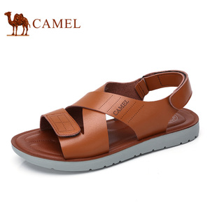 Camel/骆驼 A722263412