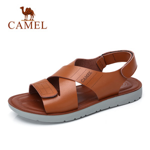 Camel/骆驼 A722263412