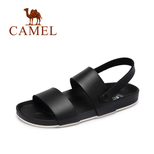 Camel/骆驼 A72289603