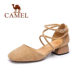 Camel/骆驼 A72501601
