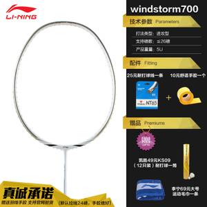 Lining/李宁 windstorm700-700A