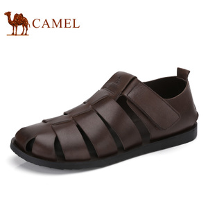 Camel/骆驼 A722029212