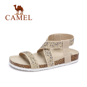 Camel/骆驼 A72289604