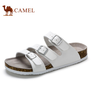 Camel/骆驼 A722226393