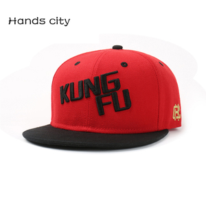 HANDS CITY KUNGFU