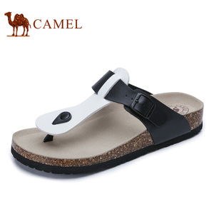 Camel/骆驼 A722289023