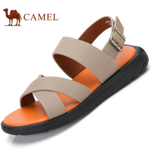 Camel/骆驼 A722211512