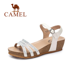 Camel/骆驼 A72226654