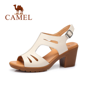 Camel/骆驼 A72007606