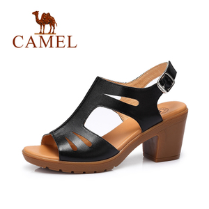 Camel/骆驼 A72007606