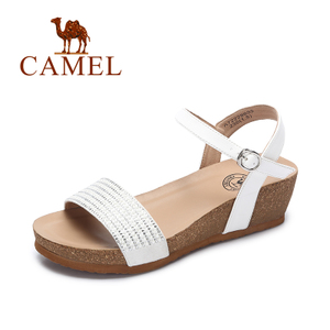 Camel/骆驼 A72226655