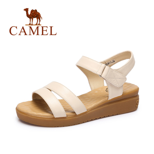 Camel/骆驼 A72504676