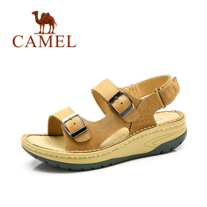 Camel/骆驼 A72326615