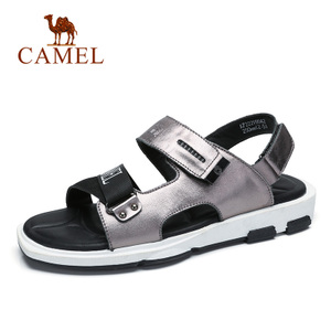 Camel/骆驼 A722299042