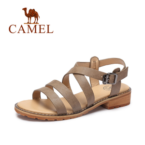 Camel/骆驼 A72296604